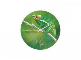 Часы настенные Nicole Time NT503 в Северном - severnoe.mebel-nsk.ru | фото